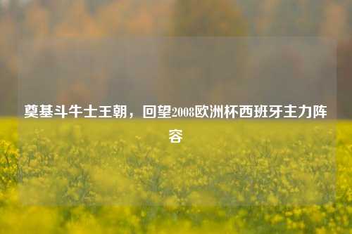 奠基斗牛士王朝，回望2008欧洲杯西班牙主力阵容