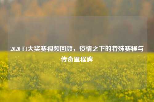 2020 F1大奖赛视频回顾，疫情之下的特殊赛程与传奇里程碑