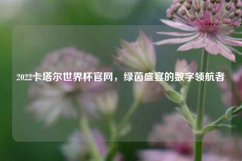 2022卡塔尔世界杯官网，绿茵盛宴的数字领航者