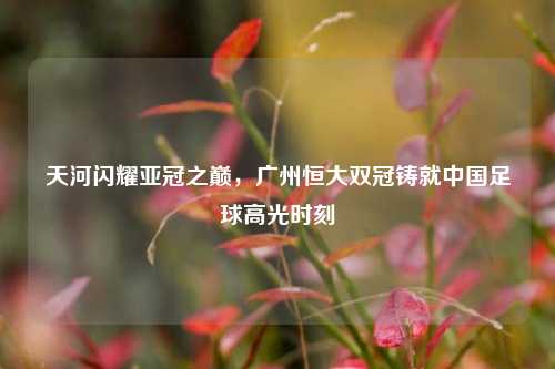 天河闪耀亚冠之巅，广州恒大双冠铸就中国足球高光时刻