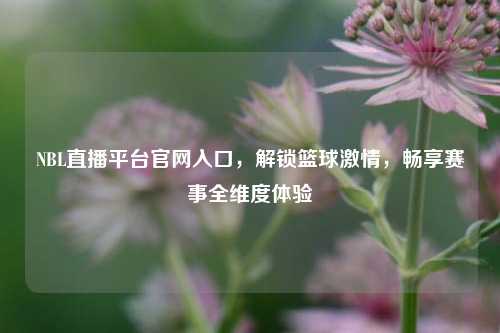 NBL直播平台官网入口，解锁篮球激情，畅享赛事全维度体验