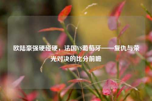 欧陆豪强硬碰硬，法国VS葡萄牙——复仇与荣光对决的比分前瞻