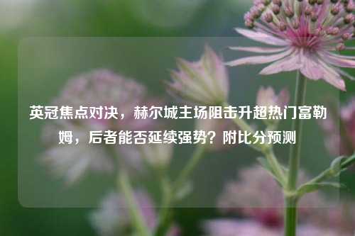 英冠焦点对决，赫尔城主场阻击升超热门富勒姆，后者能否延续强势？附比分预测