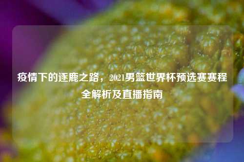 疫情下的逐鹿之路,2021男篮世界杯预选赛赛程全解析及直播指南