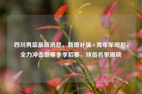 四川男篮最新消息，新援补强+青年军崛起，全力冲击新赛季季后赛，球员名单揭晓