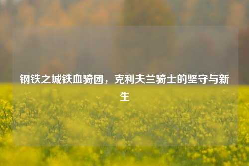 钢铁之城铁血骑团，克利夫兰骑士的坚守与新生