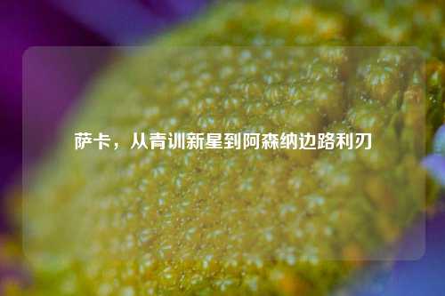 萨卡，从青训新星到阿森纳边路利刃