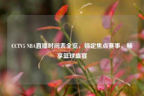 CCTV5 NBA直播时间表全览，锁定焦点赛事，畅享篮球盛宴