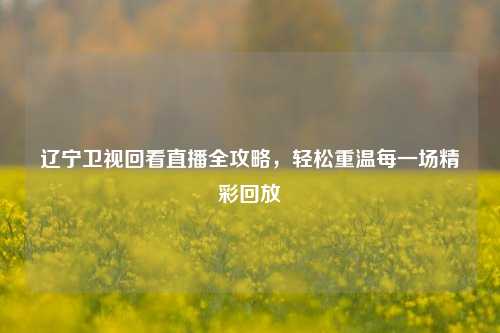 辽宁卫视回看直播全攻略，轻松重温每一场精彩回放