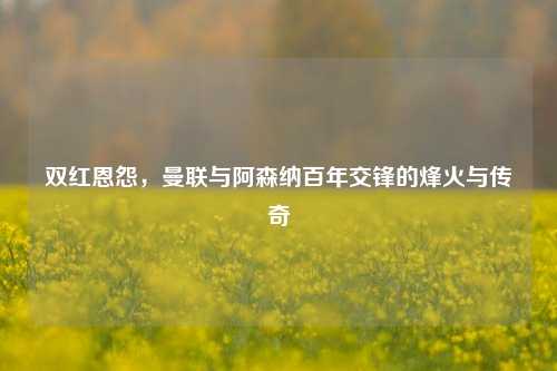 双红恩怨，曼联与阿森纳百年交锋的烽火与传奇
