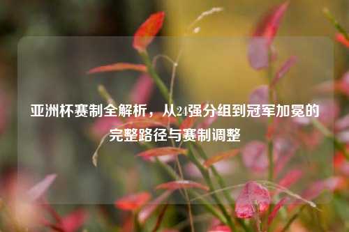 亚洲杯赛制全解析，从24强分组到冠军加冕的完整路径与赛制调整