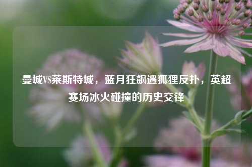 曼城VS莱斯特城，蓝月狂飙遇狐狸反扑，英超赛场冰火碰撞的历史交锋