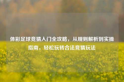 体彩足球竞猜入门全攻略，从规则解析到实操指南，轻松玩转合法竞猜玩法