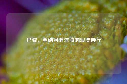 巴黎，塞纳河畔流淌的浪漫诗行