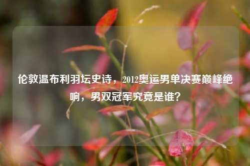 伦敦温布利羽坛史诗，2012奥运男单决赛巅峰绝响，男双冠军究竟是谁？
