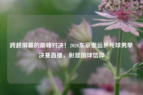 跨越屏幕的巅峰对决！2020东京奥运乒乓球男单决赛直播，彰显国球信仰