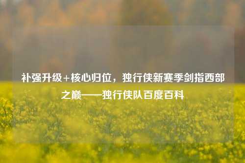补强升级+核心归位，独行侠新赛季剑指西部之巅——独行侠队百度百科