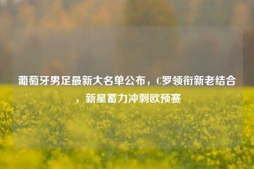 葡萄牙男足最新大名单公布，C罗领衔新老结合，新星蓄力冲刺欧预赛