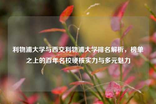 利物浦大学与西交利物浦大学排名解析，榜单之上的百年名校硬核实力与多元魅力