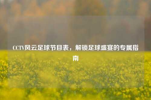 CCTV风云足球节目表，解锁足球盛宴的专属指南