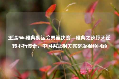 重温2004雅典奥运会男篮决赛,雅典之夜惊天逆转不朽传奇,中国男篮相关完整版视频回顾