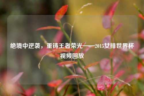 绝境中逆袭，重铸王者荣光——2015女排世界杯视频回放