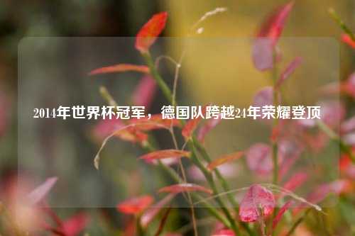 2014年世界杯冠军，德国队跨越24年荣耀登顶