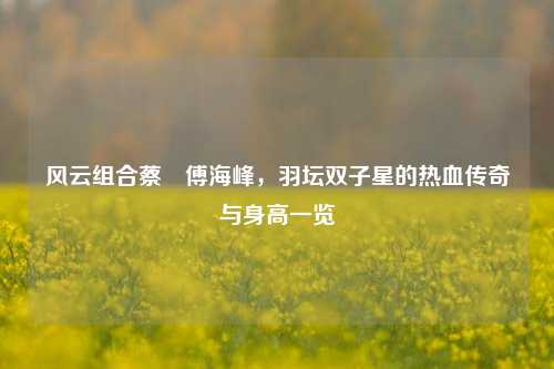 风云组合蔡赟傅海峰,羽坛双子星的热血传奇与身高一览