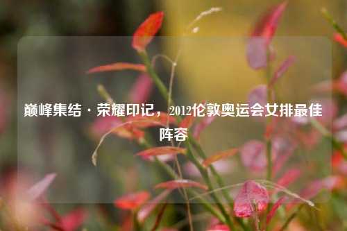 巅峰集结·荣耀印记，2012伦敦奥运会女排最佳阵容