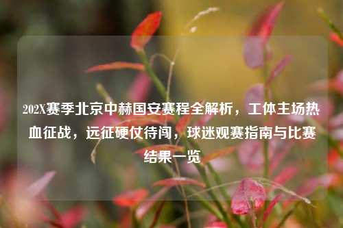 202X赛季北京中赫国安赛程全解析,工体主场热血征战,远征硬仗待闯,球迷观赛指南与比赛结果一览