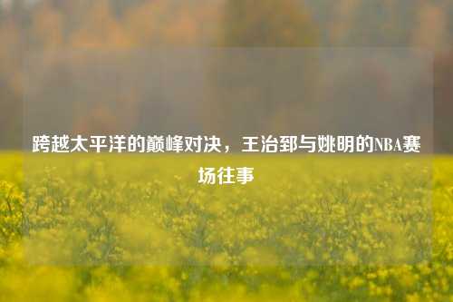 跨越太平洋的巅峰对决，王治郅与姚明的NBA赛场往事