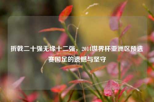 折戟二十强无缘十二强，2014世界杯亚洲区预选赛国足的遗憾与坚守