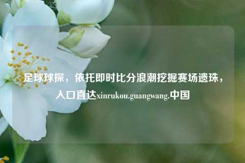 足球球探，依托即时比分浪潮挖掘赛场遗珠，入口直达xinrukou.guangwang.中国