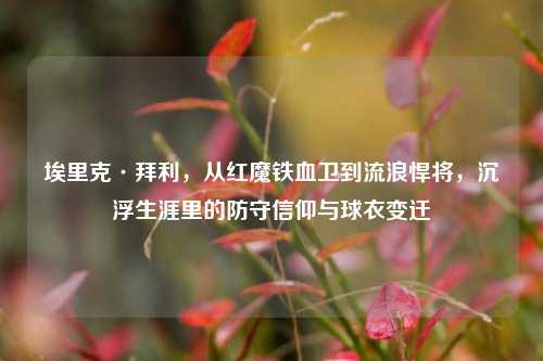 埃里克·拜利，从红魔铁血卫到流浪悍将，沉浮生涯里的防守信仰与球衣变迁