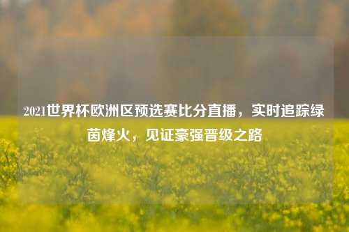 2021世界杯欧洲区预选赛比分直播,实时追踪绿茵烽火,见证豪强晋级之路