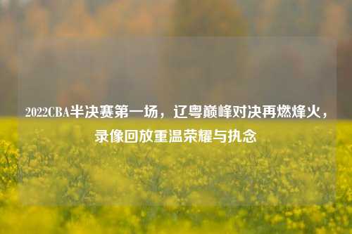 2022CBA半决赛第一场，辽粤巅峰对决再燃烽火，录像回放重温荣耀与执念