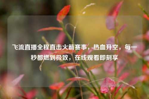 飞流直播全程直击火箭赛事，热血升空，每一秒都燃到极致，在线观看即刻享