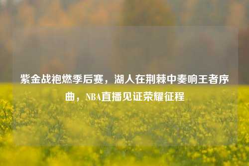 紫金战袍燃季后赛，湖人在荆棘中奏响王者序曲，NBA直播见证荣耀征程