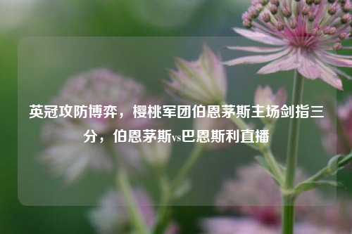 英冠攻防博弈，樱桃军团伯恩茅斯主场剑指三分，伯恩茅斯vs巴恩斯利直播