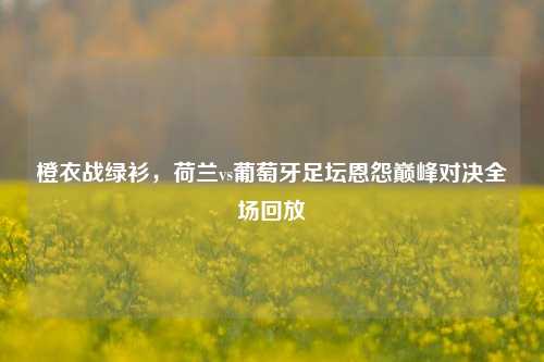 橙衣战绿衫,荷兰vs葡萄牙足坛恩怨巅峰对决全场回放