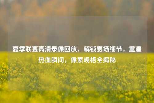 夏季联赛高清录像回放，解锁赛场细节，重温热血瞬间，像素规格全揭秘