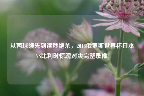 从两球领先到读秒绝杀,2018俄罗斯世界杯日本VS比利时惊魂对决完整录像