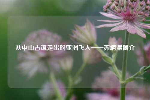 从中山古镇走出的亚洲飞人——苏炳添简介