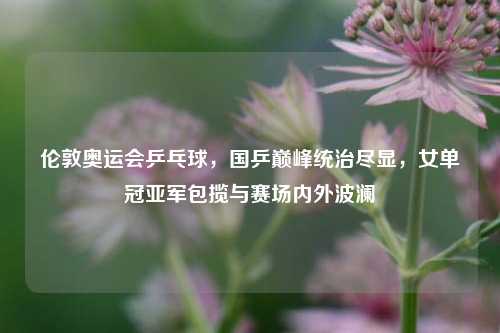 伦敦奥运会乒乓球，国乒巅峰统治尽显，女单冠亚军包揽与赛场内外波澜