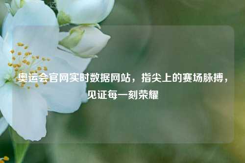 奥运会官网实时数据网站，指尖上的赛场脉搏，见证每一刻荣耀
