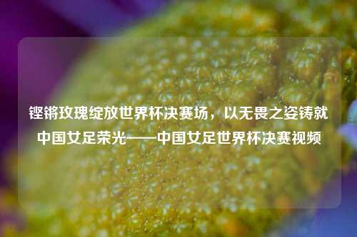 铿锵玫瑰绽放世界杯决赛场，以无畏之姿铸就中国女足荣光——中国女足世界杯决赛视频