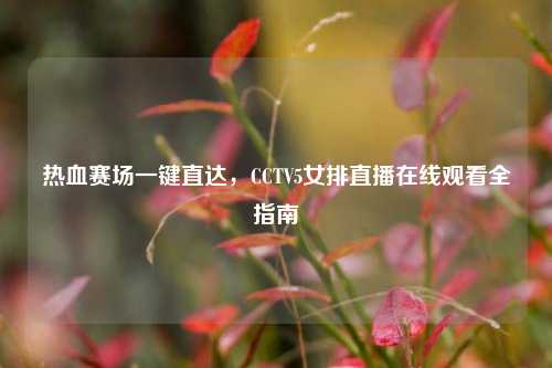 热血赛场一键直达,CCTV5女排直播在线观看全指南