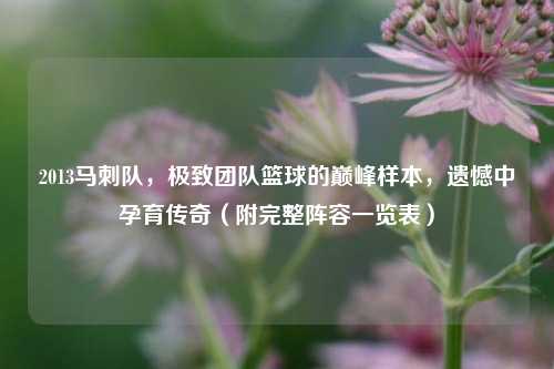 2013马刺队，极致团队篮球的巅峰样本，遗憾中孕育传奇（附完整阵容一览表）