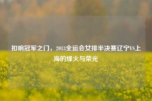 扣响冠军之门，2013全运会女排半决赛辽宁VS上海的烽火与荣光