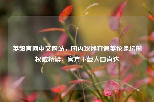 英超官网中文网站,国内球迷直通英伦足坛的权威桥梁,官方下载入口直达